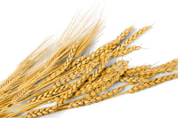 Avena per la pelle: proprietà e come si usa
