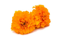 Calendula per la pelle: cosa fa e come sceglierla