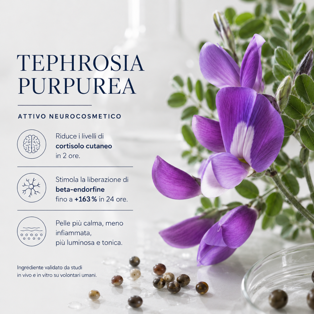 Tephrosia Purpurea, attivo neurocosmetico dell'olio corpo Lelang Essentia Spa Relax Body Massage Oil che riduce il cortisolo cutaneo in 2 ore e stimola le beta-endorfine fino a +163% in 24 ore per una pelle più calma, luminosa e tonica