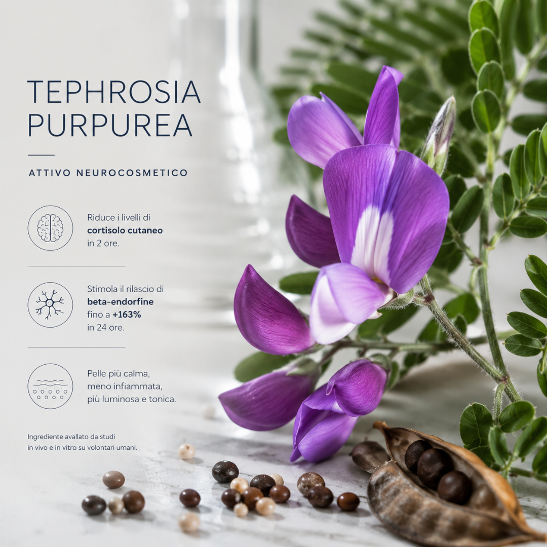 Tephrosia Purpurea, attivo neurocosmetico Lelang che riduce il cortisolo cutaneo in 2 ore e stimola le beta-endorfine fino a più 163% per una pelle più calma e luminosa